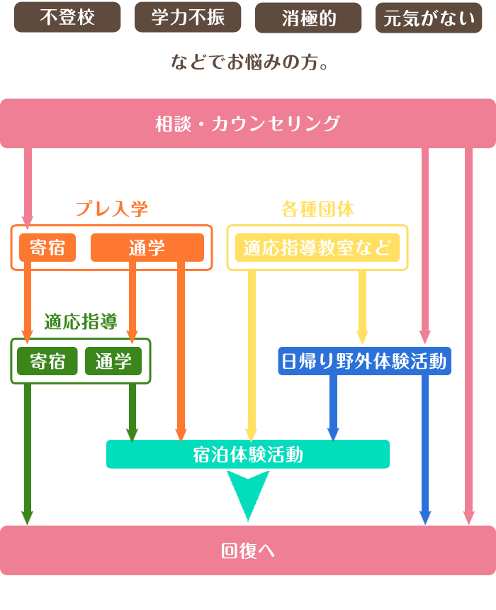 入学からの流れ